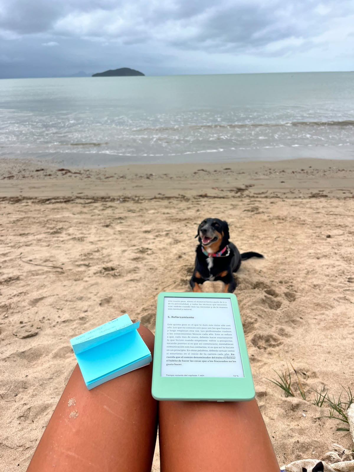 Una pausa en la playa: leer y descansar junto a la perra